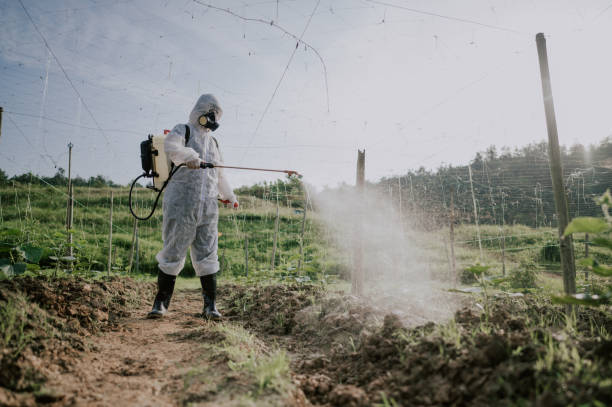 Best Ant Control Services  in Spring Glen, UT