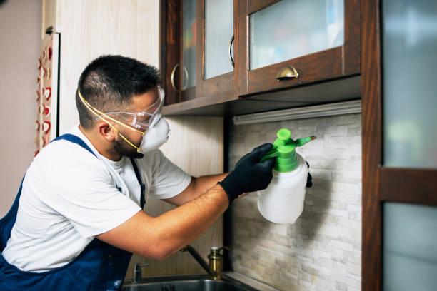 Best Ant Control Services  in Spring Glen, UT