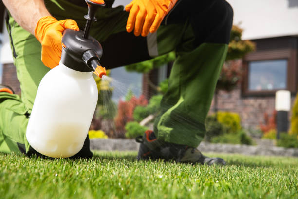 Best Pest Inspection Near Me  in Spring Glen, UT
