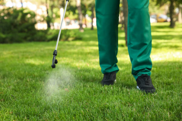 Best Wasp Removal Services  in Spring Glen, UT