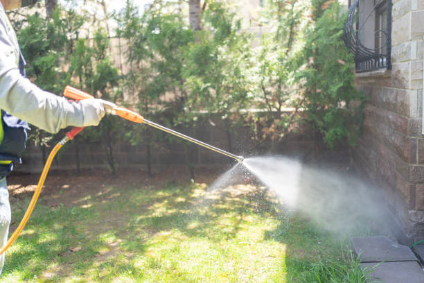 Best Pest Control for Homes  in Spring Glen, UT
