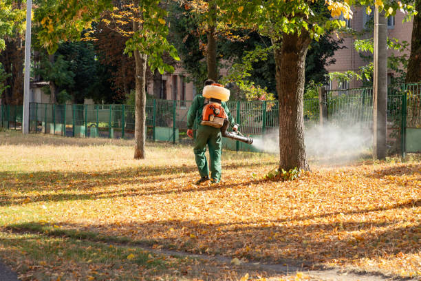 Best Flea Control Services  in Spring Glen, UT