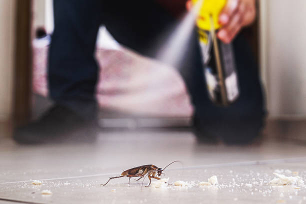 Wildlife Control Services in Spring Glen, UT