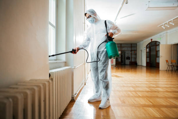 Best Mosquito Control Services  in Spring Glen, UT