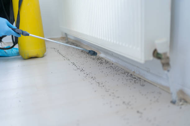 Best Pest Control Near Me  in Spring Glen, UT