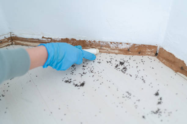 Best Pest Control for Businesses  in Spring Glen, UT